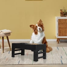 3 Piece Astro Elevated Dual Pet Feeder Set